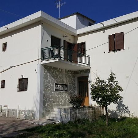 Olympia Sweet Home Ancient Olympia Ngoại thất bức ảnh